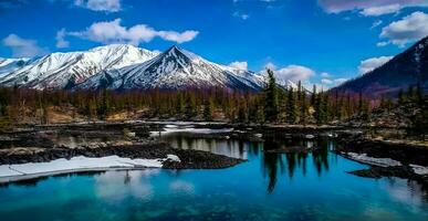 increíble naturaleza fondo de pantalla foto