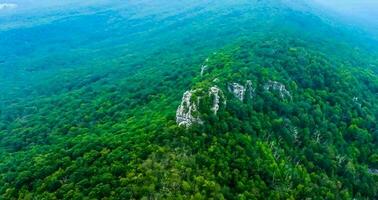 increíble naturaleza fondo de pantalla foto