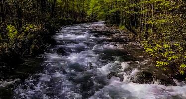 increíble naturaleza fondo de pantalla foto