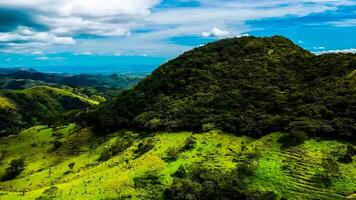 increíble naturaleza fondo de pantalla foto