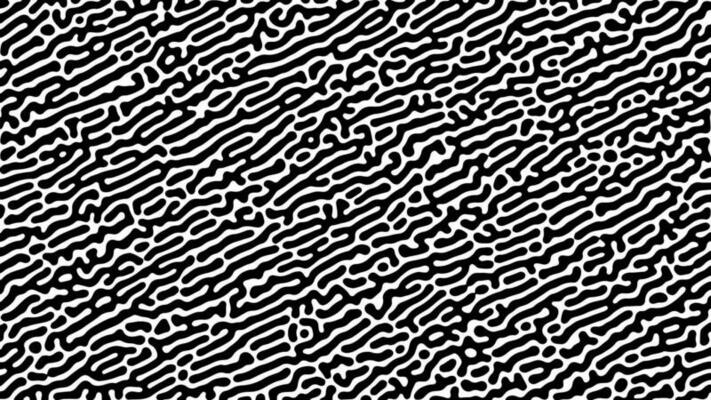 Monochrome Turing reaction background. Abstract diffusion pattern with chaotic shapes. Vector illustration.