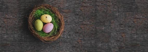 Banner. Easter quail  painted eggs  in a nest on a  wooden background.   An Easter card with a copy of the place for the text.Top view. photo