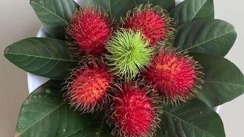 rotating display on rambutan fruit. very delicious and healthy. video