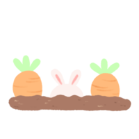 hand getekend konijn met boerderij wortel in tekening stijl png
