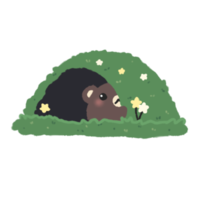 Hand-drawn Cute Dark Brown Bear with hollow grass in doodle style png