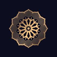 Golden Pattern Mandala design Background vector