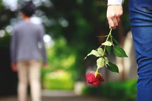 rosas para amantes en San Valentín día foto