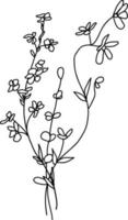 Linear wildflowers bouquet. Summer meadow line art wildflowers, herbs and stems. vector