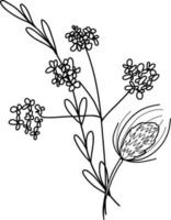 Linear wildflowers bouquet. Summer meadow line art wildflowers, herbs and stems. vector