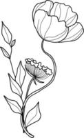 Linear wildflowers bouquet. Summer meadow line art wildflowers, herbs and stems. vector