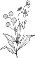 Linear wildflowers bouquet. Summer meadow line art wildflowers, herbs and stems. vector