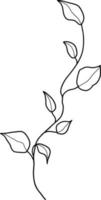 Summer meadow line art wildflowers, herbs and stems. Flowers and leaves. vector