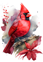 Watercolor Red Cardinal with flower on a branch, watercolor painting. png