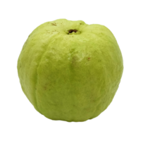 guaiava frutta png