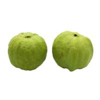 Guave Obst png