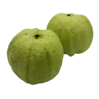 Guava Fruit PNG