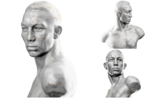 3D render of a historical bust statue with stone texture and gold accents. Ideal for historical design projects. png