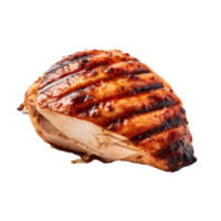 Tasty Turkey isolated png