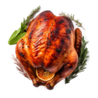 Tasty Turkey isolated png