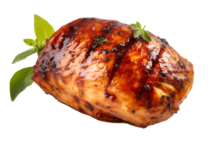 Tasty Turkey isolated png