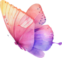 mariposa acuarela ilustración png