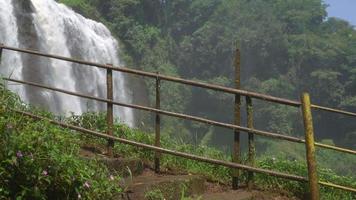 das Mann Gehen auf das Wasserfall Ziel auf Semarang zentral Java. das Foto ist geeignet zu verwenden zum Abenteuer Inhalt Medien, Natur Poster und Wald Hintergrund. video