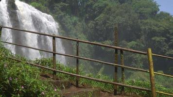 The man walking on the waterfall destination on Semarang Central Java. The photo is suitable to use for adventure content media, nature poster and forest background. video