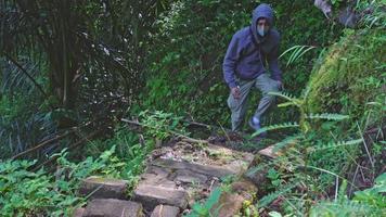 le homme en marchant sur le tropical forêt pour randonnée montagne, à le Voyage destination sur semarang central Java. le photo est adapté à utilisation pour aventure contenu médias, la nature affiche et forêt. video