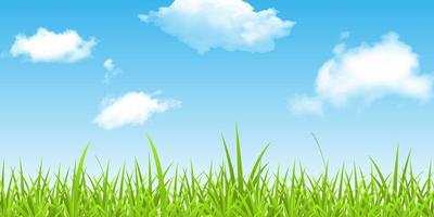 green grass and blue sky with copy space for text vector