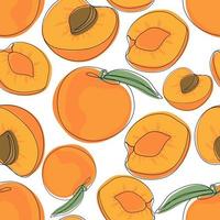 Seamless pattern of apricots whole and halves vector