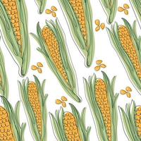 Corn cobs seamless pattern vector