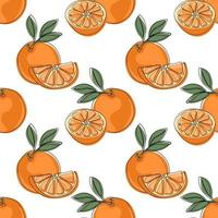 Orange seamless pattern. Hand drawn fruit background vector