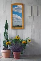 summer landscape in the window on the white wall at home photo