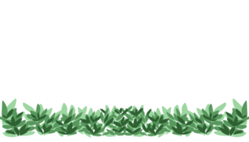 Contexte illustration avec beaucoup de herbe feuilles png