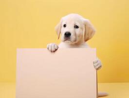 A cute golden retriever puppy with blank board on isolated yellow color background, playful and adorable pet, photo