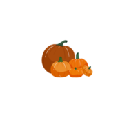 Pumpkin set, Autumn Halloween or Thanksgiving pumpkin png