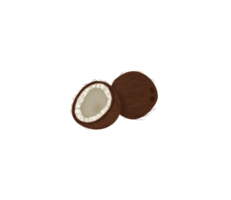 realistic drawing whole and half coconut png