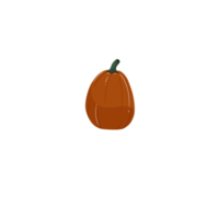 Pumpkin - squash for Halloween or Thanksgiving png