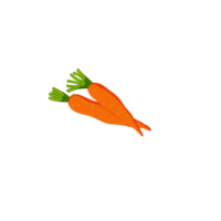 carottes avec des feuilles png