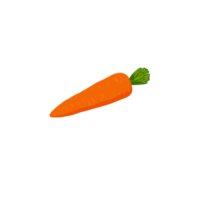 Carrot vegetable with leaves png