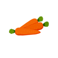 Orange carrot with leaves png