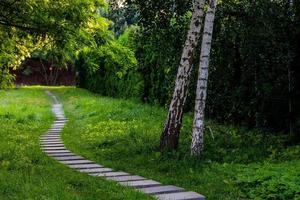 summer landscape stone path among green plants and birches photo