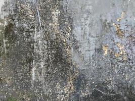 Old grunge crack grey concrete or cement wall texture background with dry moss photo