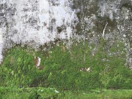 Closeup Old grunge crack grey concrete or cement wall texture background with green moss and rock or stone wall at the bottom photo