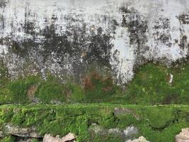 Closeup Old grunge crack grey concrete or cement wall texture background with green moss and rock or stone wall at the bottom photo