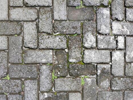 Close Up aged paving blocks texture filled with moss and weeds with Top view background photo