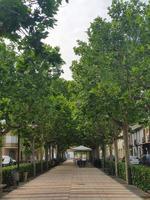 alley with green trees on a summer day and a cafe in a spanish town photo