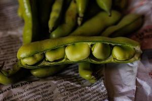 grande verde frijoles recogido en el jardín en el diario periódico foto