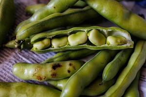 grande verde frijoles recogido en el jardín en el diario periódico foto