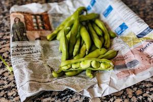 grande verde frijoles recogido en el jardín en el diario periódico foto